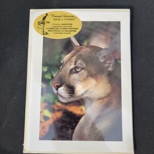 Wildlife Greeting Card Set ~ Christmas ~ Florida Photography ~ Vintage Cards